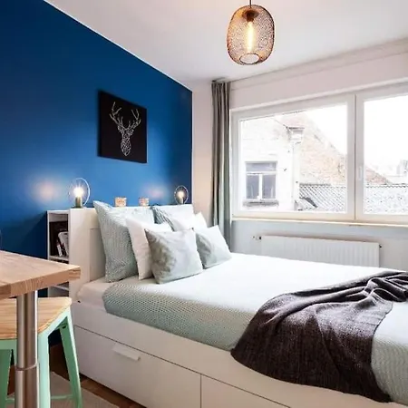 Magnifique T4 Hypercentre Appartement Tourcoing